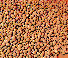Expanded Clay Pellets